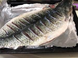 1639545381105415.jpeg 6975543D-860D-46A1-8EB4-381C72566B65.jpeg