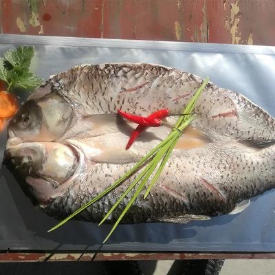 1639545511141084.jpeg 2D211D8F-0066-4C2E-A208-B0CB4CB8DD59.jpeg