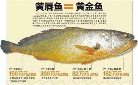 7671CBFD-3DB9-44F4-A060-413A4F42DB6C.jpeg